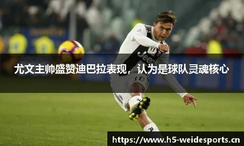 韦德体育官网