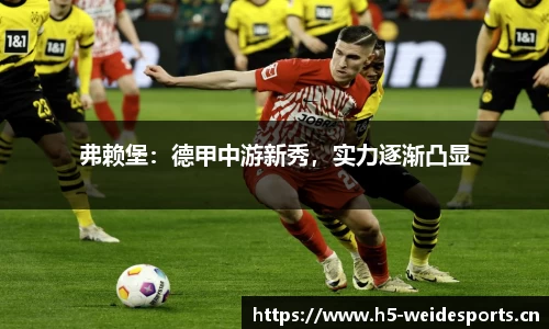 韦德体育平台
