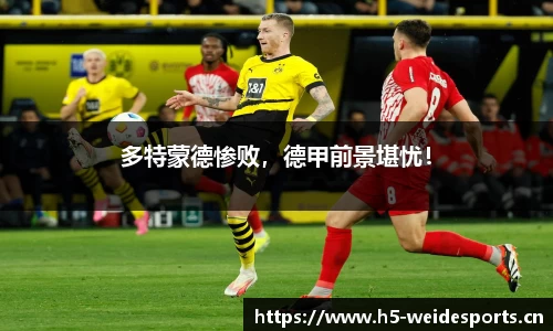 韦德体育