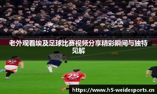 韦德体育