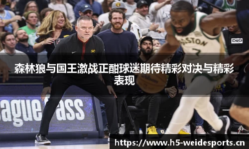 森林狼与国王激战正酣球迷期待精彩对决与精彩表现