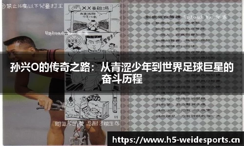 韦德体育平台